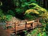 Sol Duc Falls Trail, Olympic National Park, Washington